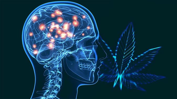 parkinsons treated with cannabis